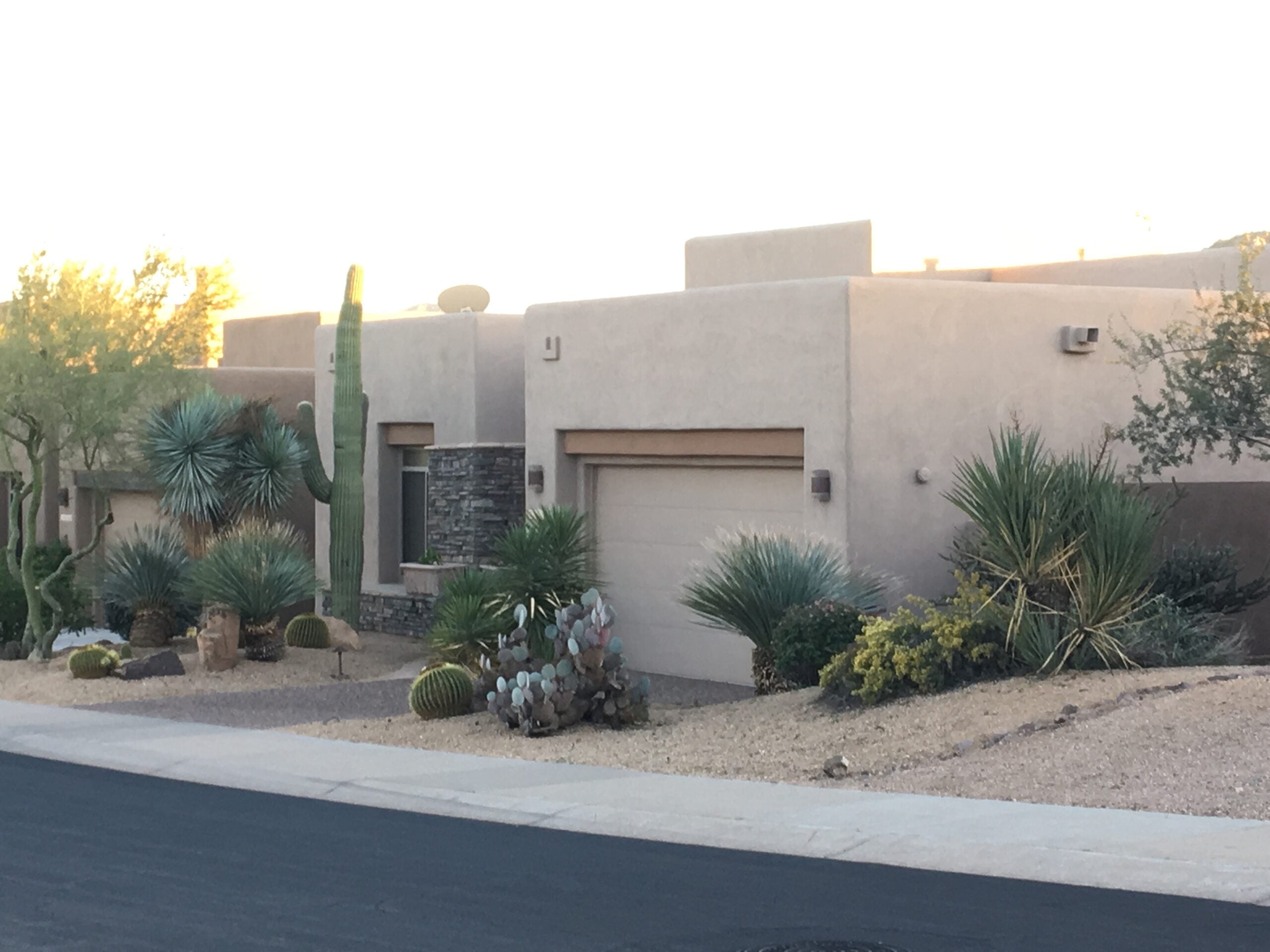 Modern desert-style home in Phoenix with cactus landscaping and southwestern architecture at sunset.